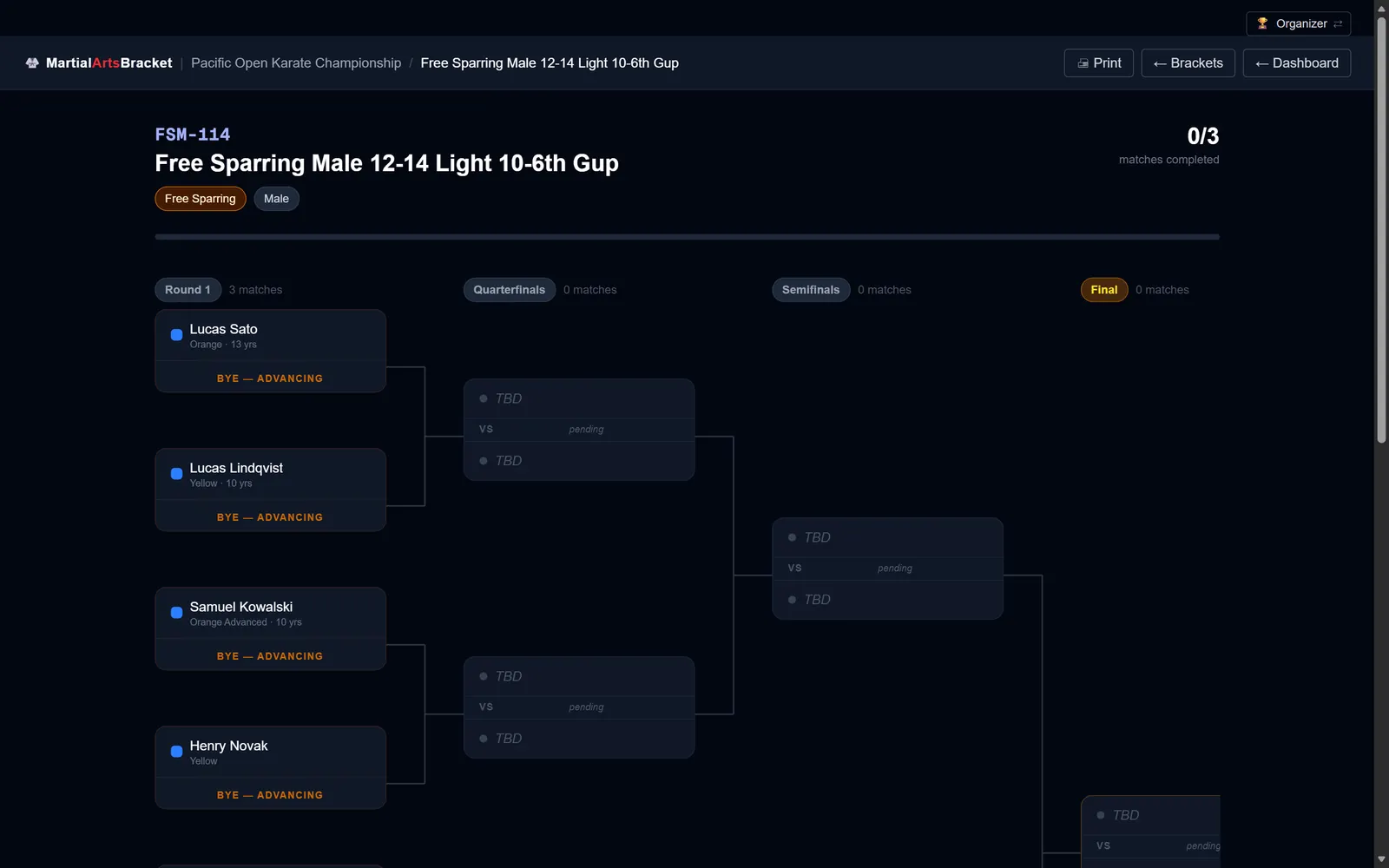 A bracket with results and medals